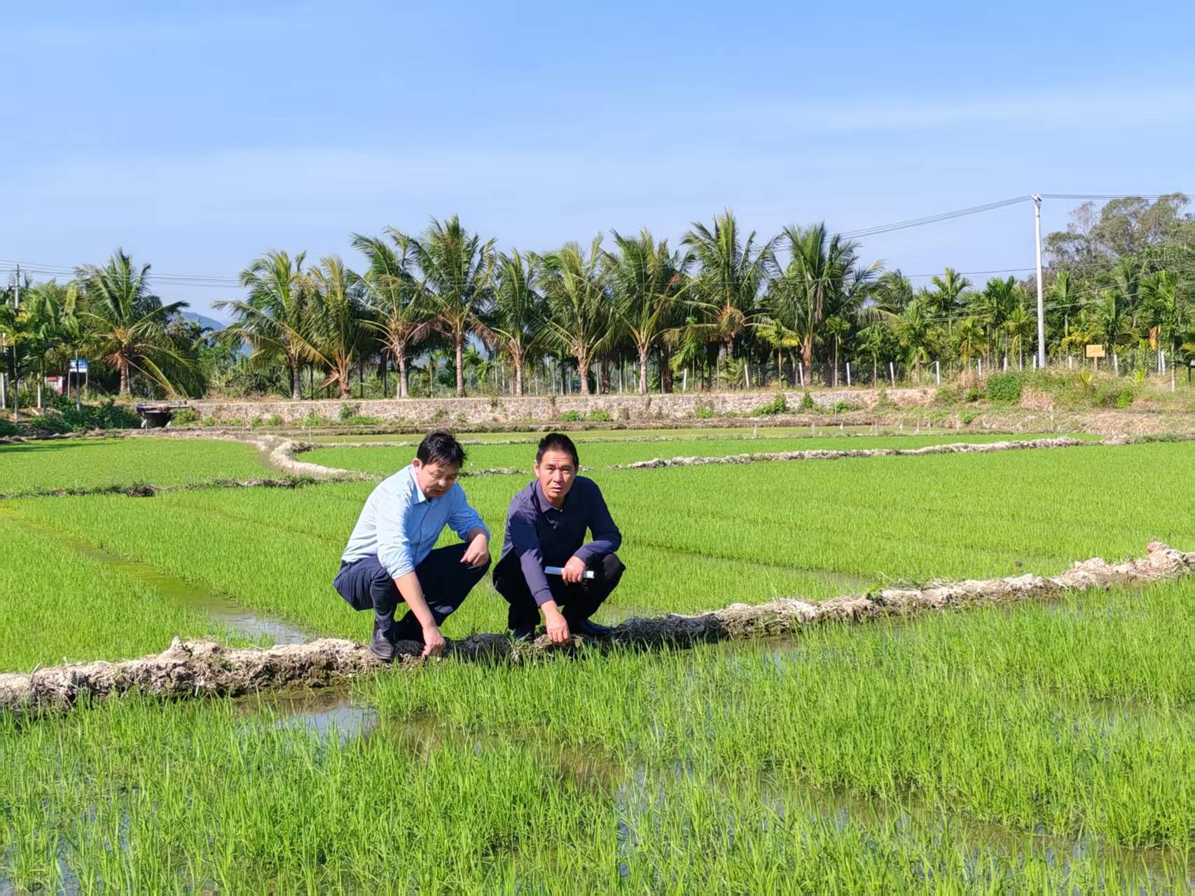 �����߿� �Ϸ� ����