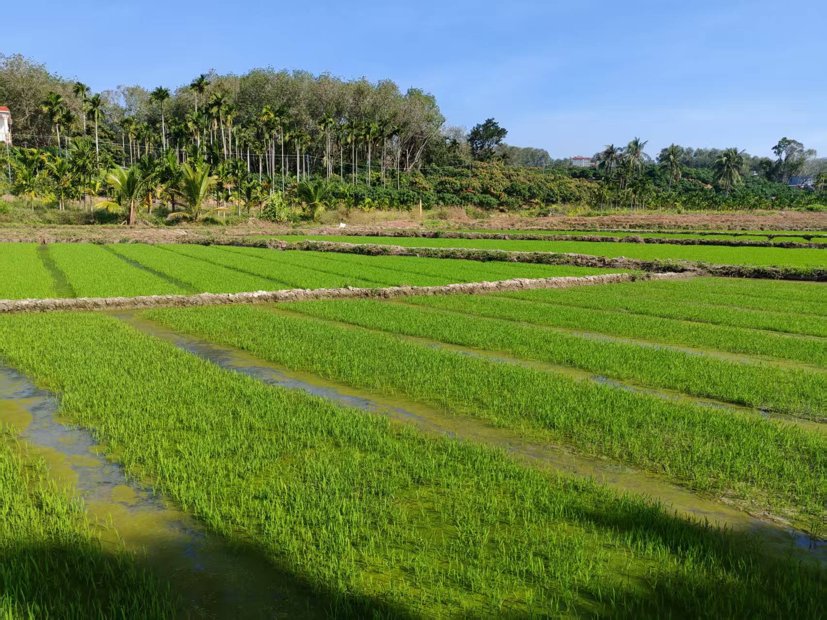 �����߿� �Ϸ� ����